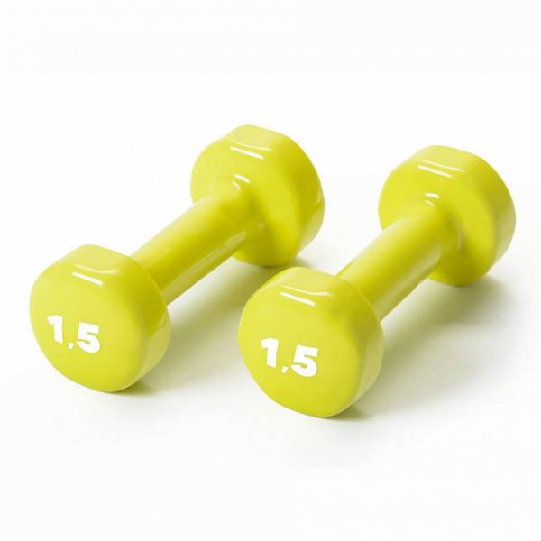 BASIC vinyl dumbbells