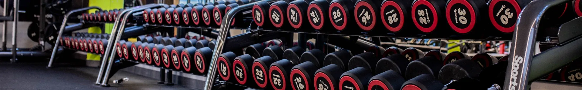 Back to gym!